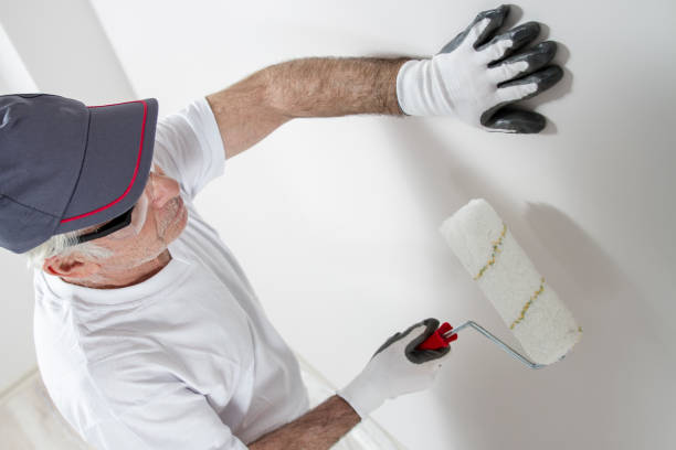 Ofallon, IL Mold Removal Company