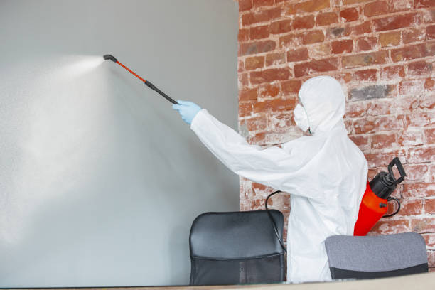 Best Mold Remediation for Healthcare Facilities  in Ofallon, IL