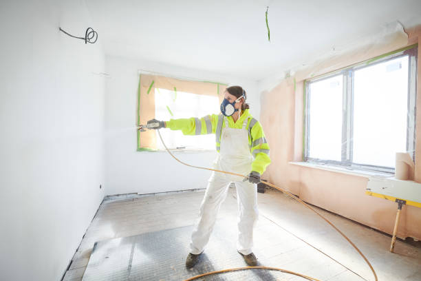 Best Attic Mold Removal  in Ofallon, IL
