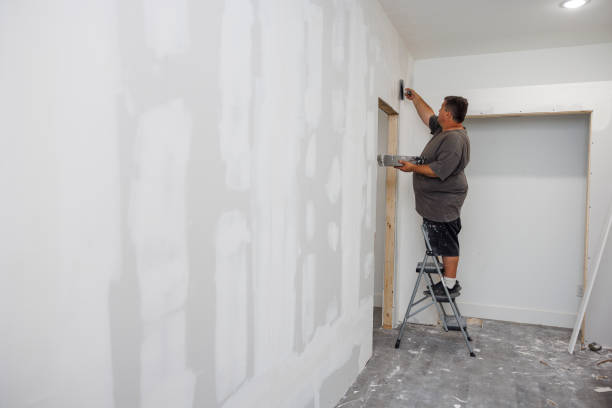 Best Residential Mold Inspection & Testing  in Ofallon, IL