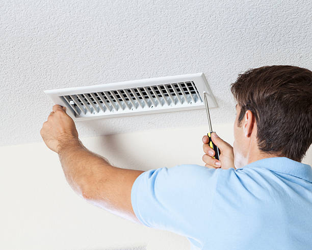 Professional Mold Removal in Ofallon, IL