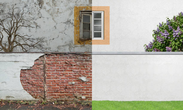 Best Mold Remediation for Healthcare Facilities  in Ofallon, IL
