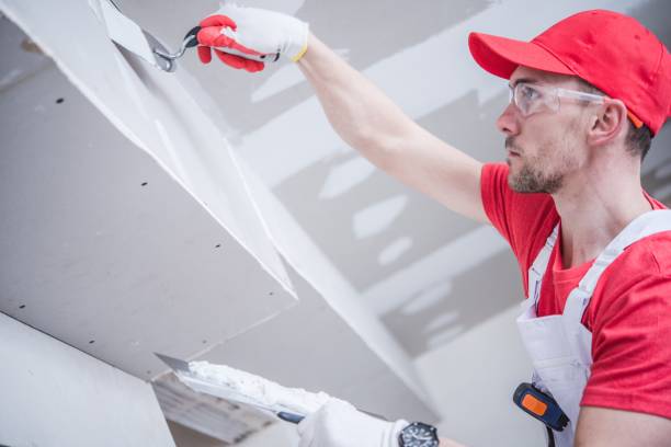 Best Mold Documentation for Insurance Claims  in Ofallon, IL